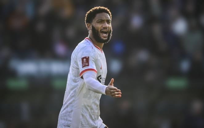 在随后几次 在随后几次