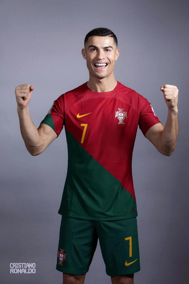 奥地利队的 奥地利队的